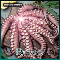 pulpo del norte